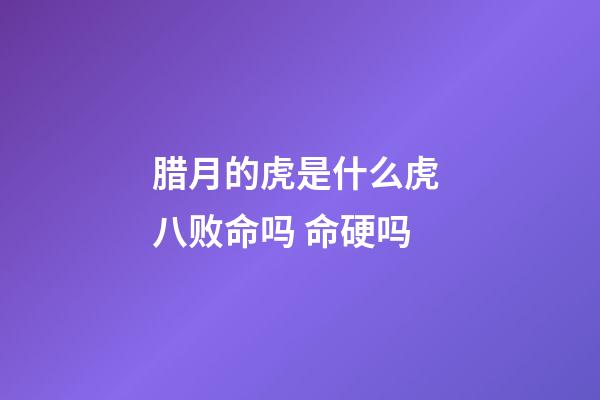 腊月的虎是什么虎 八败命吗 命硬吗